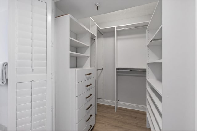 22 Royal Palm Way Unit 205, Boca Raton, FL 33432 - walk in closet with wood finished floors