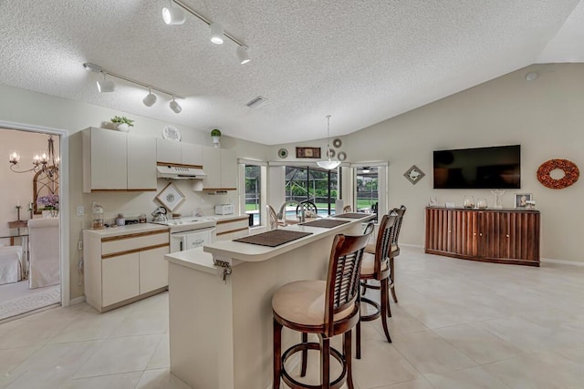 1500 Chapparel Way, Wellington, FL 33414 - kitchen featuring under cabinet range hood, lofted ceiling, light countertops, pendant lighting, and a kitchen bar