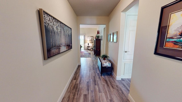 11710 SW Apple Blossom Trl, Port Saint Lucie, FL 34987 - hallway featuring wood finished floors and baseboards
