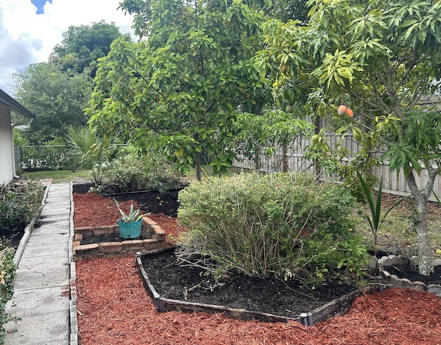 6404 Moonstone Way, Delray Beach, FL 33484 - fenced backyard with a vegetable garden
