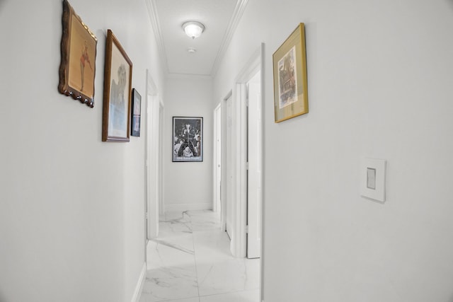 1680 SW 16th St, Boca Raton, FL 33486 - hall featuring light marble finish floors and ornamental molding