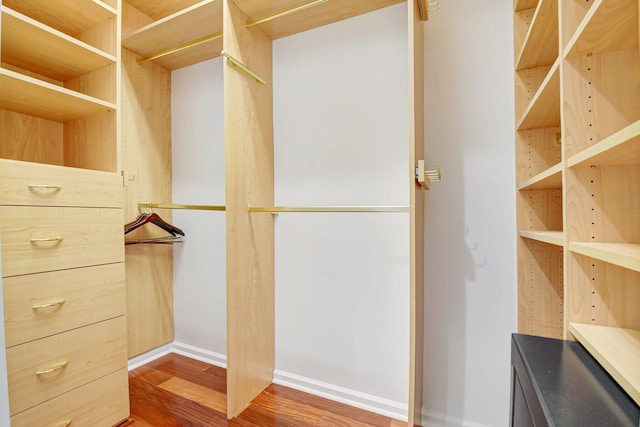 13209 Alhambra Lake Cir, Delray Beach, FL 33446 - walk in closet featuring wood finished floors