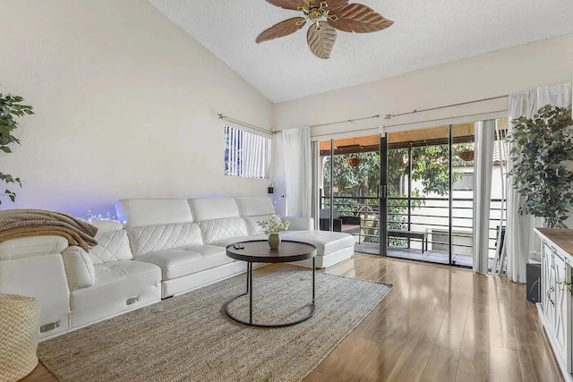 12 Via De Casas Sur Unit 203, Boynton Beach, FL 33426 - living room with lofted ceiling, ceiling fan, a textured ceiling, and wood finished floors