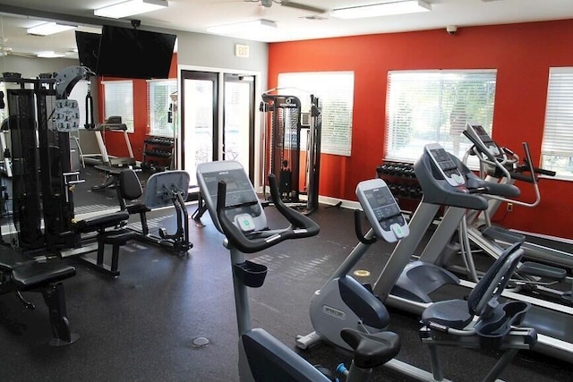 261 SW Palm Dr Unit 205, Port Saint Lucie, FL 34986 - gym with a ceiling fan and baseboards