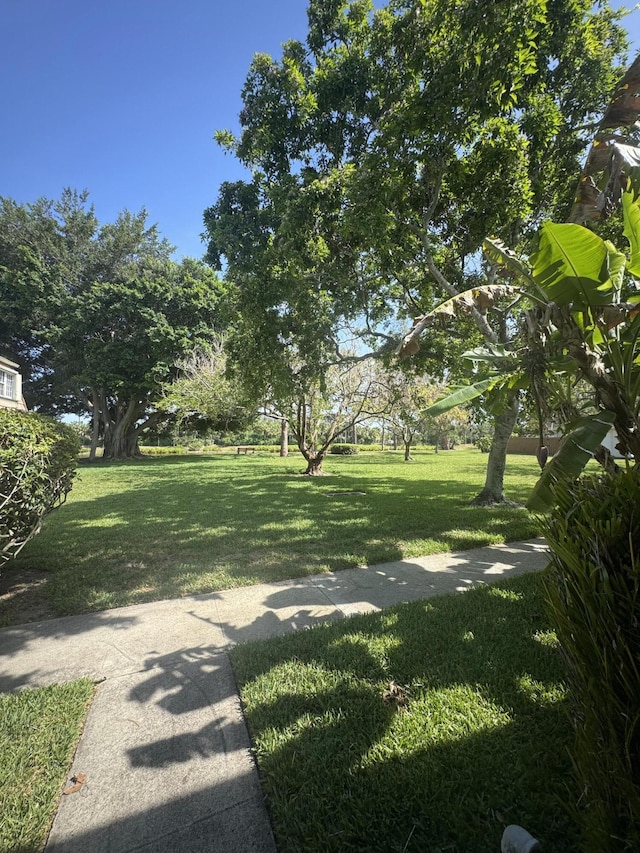 4348 Hazel Ave Unit B, Palm Beach Gardens, FL 33410 - view of green lawn