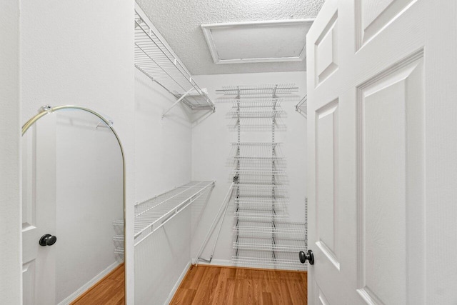 9556 E Lake Dr, Boca Raton, FL 33434 - spacious closet with light wood-style floors and attic access