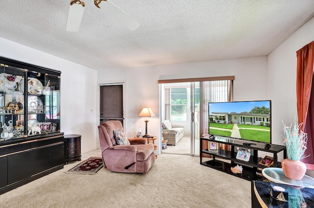 505 High Point Blvd N Unit A, Delray Beach, FL 33445 - living room featuring carpet flooring and a textured ceiling