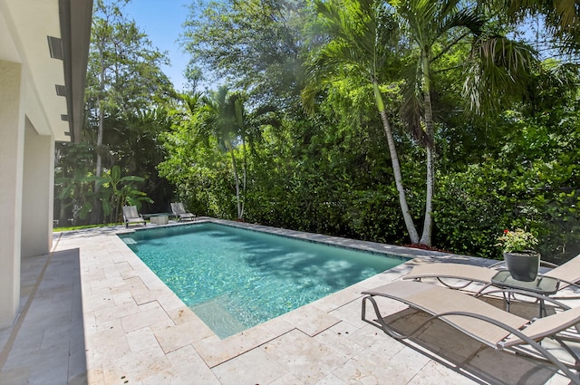 4652 Saxon Rd, Coconut Creek, FL 33073 - swimming pool with a patio