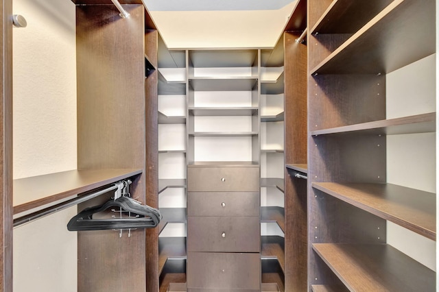 11013 Legacy Ln Unit 103, Palm Beach Gardens, FL 33410 - view of walk in closet