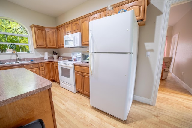 7611 SW 21st Pkwy, Okeechobee, FL 34974 - kitchen featuring white appliances, a sink, light wood-type flooring, baseboards, and brown cabinets
