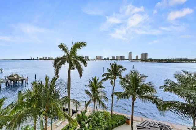 2650 Lake Shore Dr Unit 406, Riviera Beach, FL 33404 - water view with skyline