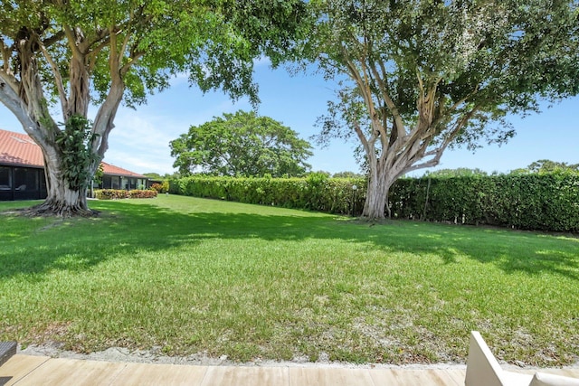 5319 Palmetto Palm Ct Unit A, Boynton Beach, FL 33437 - view of green lawn