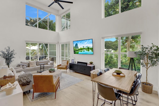 4220 NW 58th Ln, Boca Raton, FL 33496 - living area with a high ceiling, a ceiling fan, and light wood-style flooring
