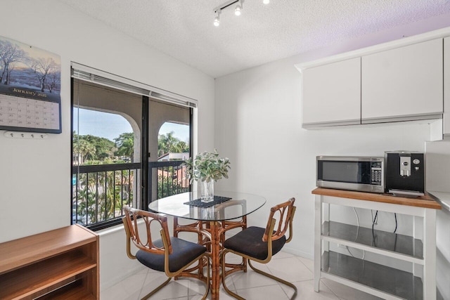 5380 Cedar Lake Dr Unit 303, Boynton Beach, FL 33437 - dining space with plenty of natural light, a textured ceiling, light tile patterned floors, rail lighting, and baseboards