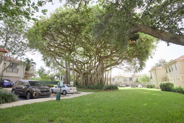 1020 E Longport Cir Unit A1, Delray Beach, FL 33444 - view of grassy yard