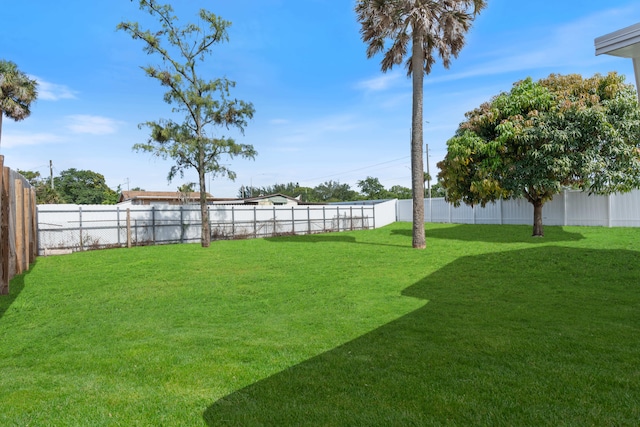 88 3rd St, West Palm Beach, FL 33413 - view of yard