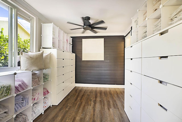 1630 N Ocean Breeze, Lake Worth Beach, FL 33460 - bedroom featuring dark wood-type flooring, wood walls, and a ceiling fan