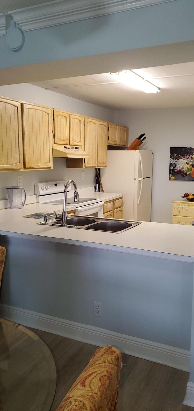 8 Royal Palm Way Unit 6040, Boca Raton, FL 33432 - kitchen featuring light brown cabinets, dark wood-style floors, freestanding refrigerator, light countertops, and under cabinet range hood