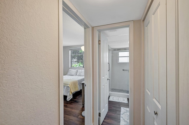 2901 NW 46th Ave Unit 101, Lauderdale Lakes, FL 33313 - corridor with a textured wall, dark wood finished floors, and healthy amount of natural light
