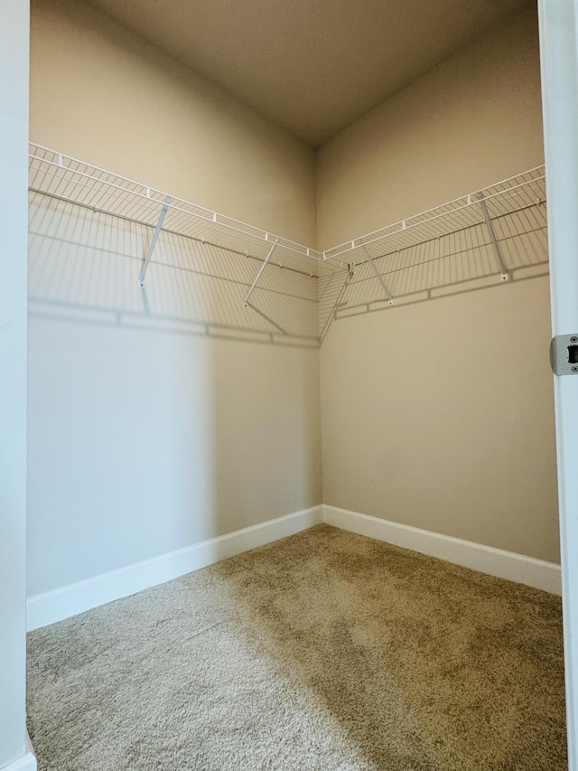163 SW Pomeroy St, Stuart, FL 34997 - spacious closet with carpet floors