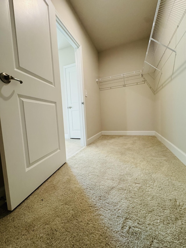 163 SW Pomeroy St, Stuart, FL 34997 - spacious closet with carpet floors