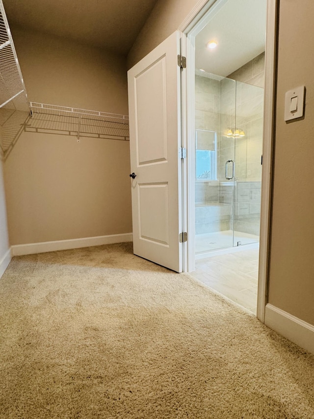 163 SW Pomeroy St, Stuart, FL 34997 - spacious closet with carpet flooring
