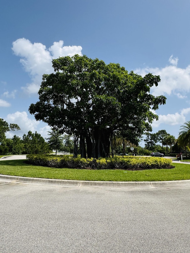 163 SW Pomeroy St, Stuart, FL 34997 - view of asphalt road with curbs
