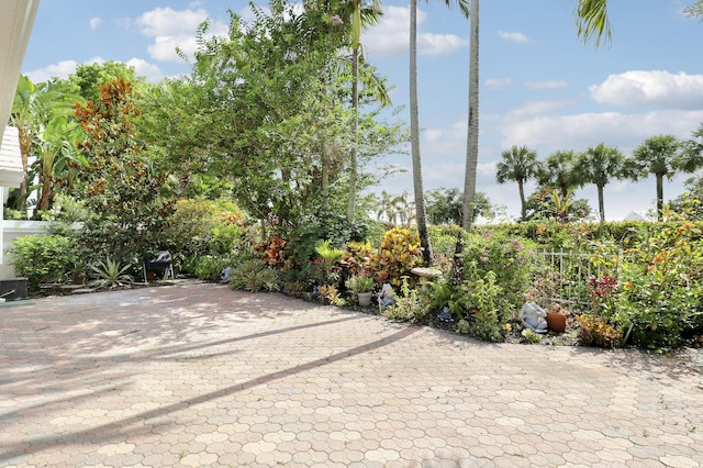 1365 Wilderness Rd, West Palm Beach, FL 33409 - view of patio / terrace