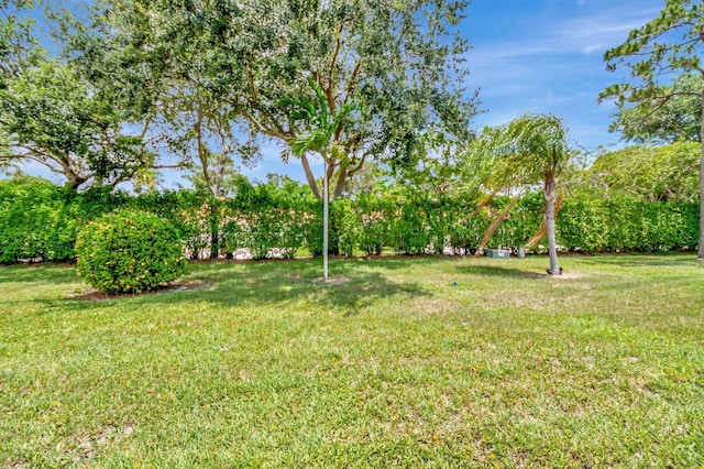 5073 Lakefront Blvd Unit D, Delray Beach, FL 33484 - view of grassy yard