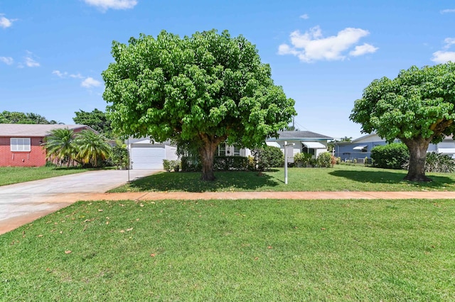 436 Santa Anna Dr, Palm Springs, FL 33461 - view of property hidden behind natural elements featuring concrete driveway, a front lawn, and a garage