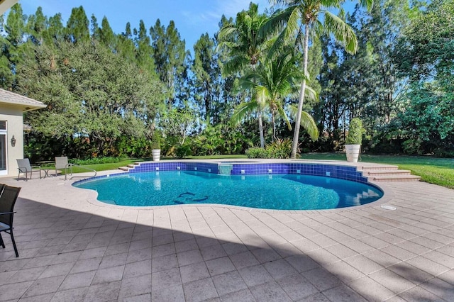 16164 Bridlewood Cir, Delray Beach, FL 33445 - swimming pool with a patio area