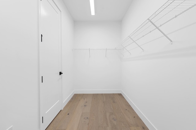 12870 Crane Xing, Palm Beach Gardens, FL 33412 - walk in closet featuring light wood-type flooring