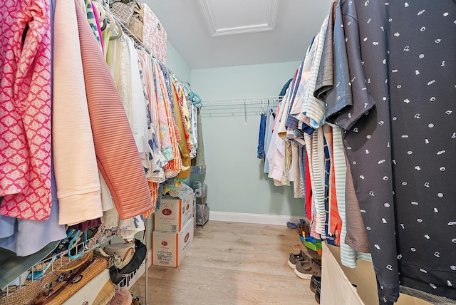 3596 Freshwater Dr, Jupiter, FL 33477 - spacious closet featuring attic access and wood finished floors