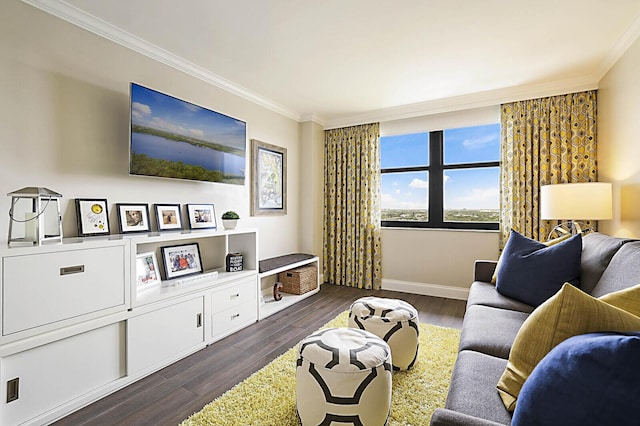 2001 N Ocean Blvd Unit 1804, Boca Raton, FL 33431 - living room with ornamental molding and dark wood-type flooring