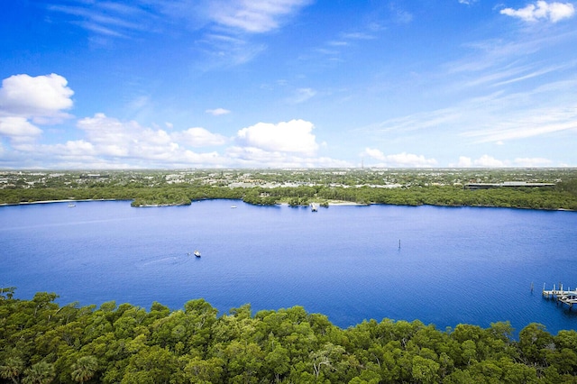2001 N Ocean Blvd Unit 1804, Boca Raton, FL 33431 - drone / aerial view of a large body of water and a heavily wooded area
