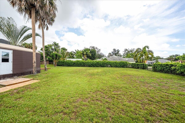 2990 SW Ventura St, Port Saint Lucie, FL 34953 - view of yard