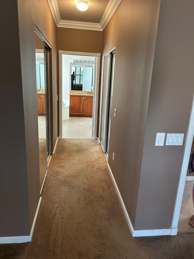 9916 E Tallyrand Dr, Lake Worth, FL 33467 - hall featuring carpet floors and crown molding