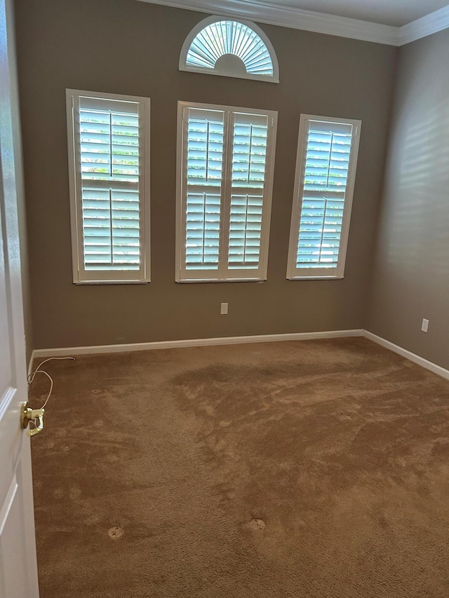 9916 E Tallyrand Dr, Lake Worth, FL 33467 - empty room with carpet and ornamental molding