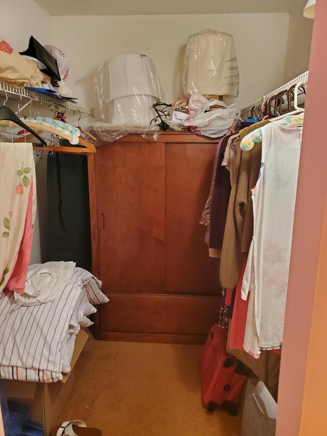 2200 Springdale Blvd Unit 306, Palm Springs, FL 33461 - spacious closet with carpet