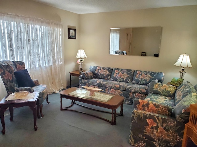 2200 Springdale Blvd Unit 306, Palm Springs, FL 33461 - view of carpeted living room
