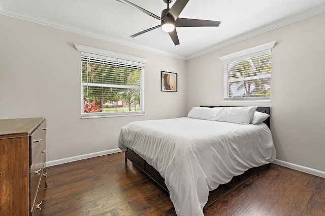 1008 Mohawk St, Jupiter, FL 33458 - bedroom featuring multiple windows, ornamental molding, dark wood-type flooring, and ceiling fan