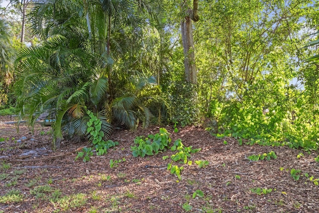 12401 174th Pl N, Jupiter, FL 33478 - view of nature