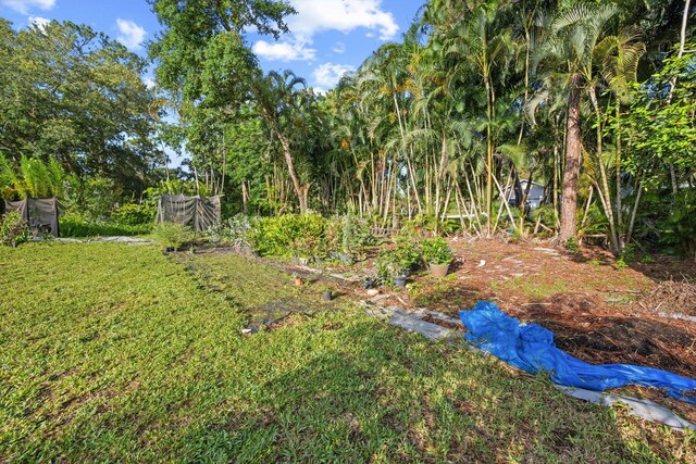 12401 174th Pl N, Jupiter, FL 33478 - view of green lawn