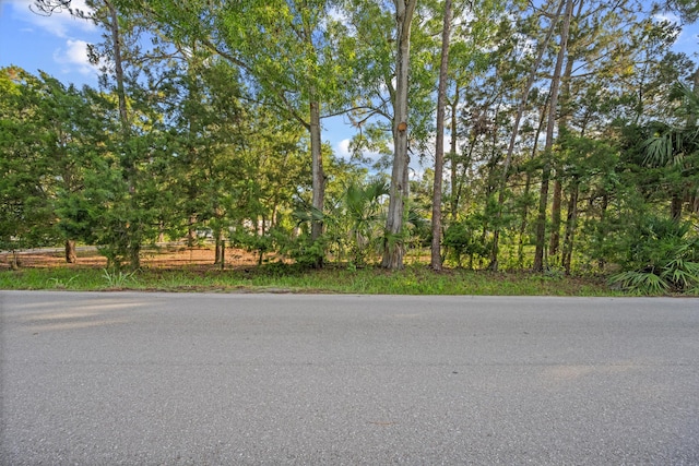 12401 174th Pl N, Jupiter, FL 33478 - view of asphalt street