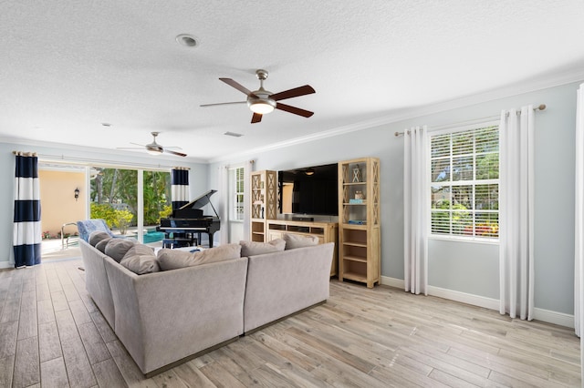 240 Honeysuckle Dr, Jupiter, FL 33458 - living room with crown molding, a textured ceiling, ceiling fan, and light wood-style flooring
