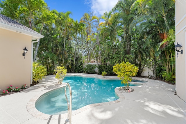 240 Honeysuckle Dr, Jupiter, FL 33458 - view of swimming pool with a patio
