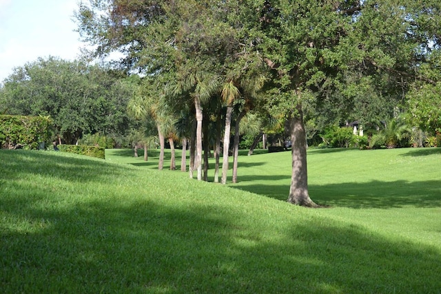 416 Cottonwood Pl, Boca Raton, FL 33431 - surrounding community with a yard and view of wooded area