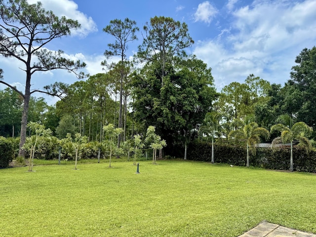 13021 150th Ct N, Jupiter, FL 33478 - view of green lawn