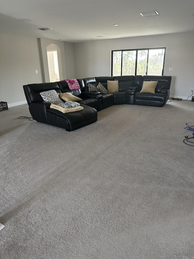 13106 Jeter Creek Dr, Riverview, FL 33579 - living area with carpet and arched walkways