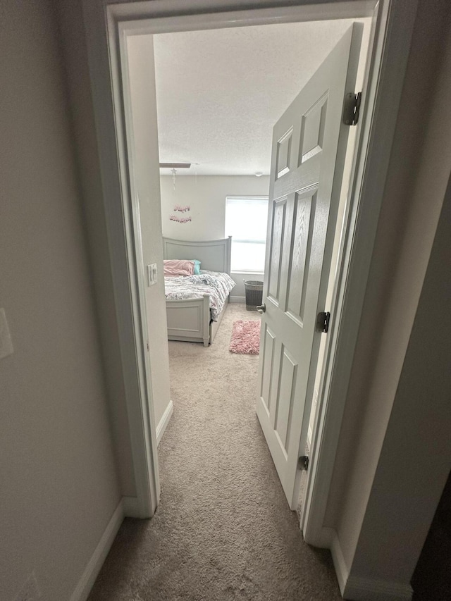 13106 Jeter Creek Dr, Riverview, FL 33579 - hall featuring carpet and baseboards